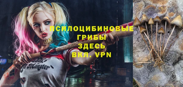 МДМА Протвино