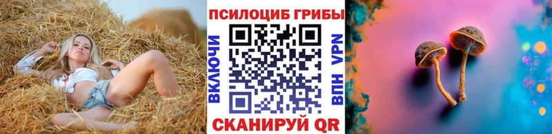 Купить закладки  Таганрог  Псилоцибиновые грибы мухоморы